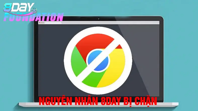 Nguyên nhân 8day bị chặn